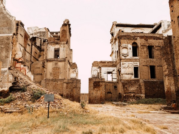 Representative Image (Photo Credit: Pexels)