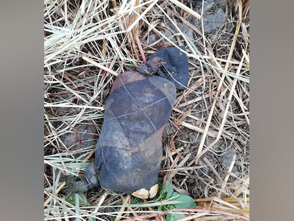 Visual of recovered sock containing drugs (Photo/ANI)