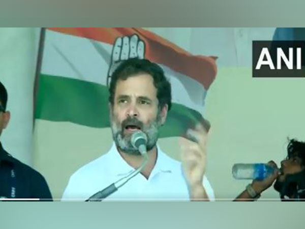 Congress leader Rahul Gandhi (Photo/ANI)