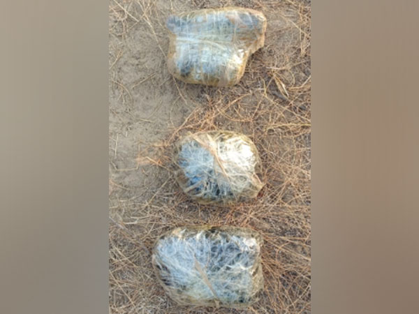 Packets of heroin recovered by BSF (Photo/ANI)