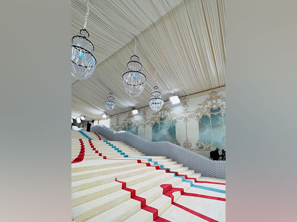 Met Gala red carpet (Image source: Twitter)