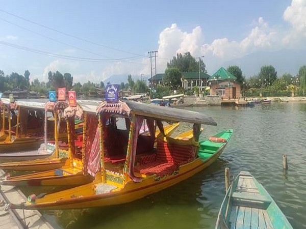 Shikaras anchored on the banks of Dal lake in Srinagar (Photo/ANI)