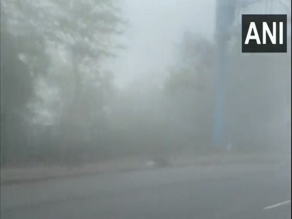 Visual of fog in Ashram, Delhi. (Photo/ANI)