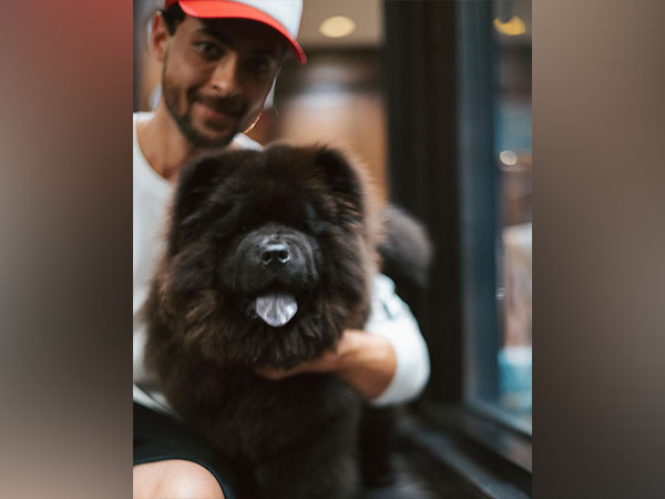 Aayush Sharma with pet. (Image Source: Instagram)