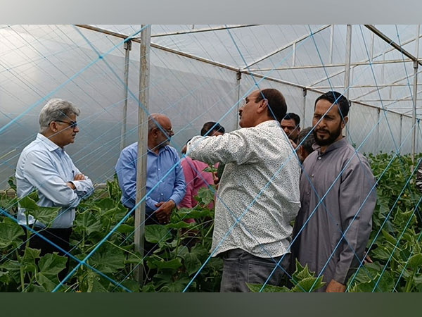ACS Atal Dulloo visits vegetable growing areas of Srinagar, takes stock of agriculture scenario. (ANI/photo)