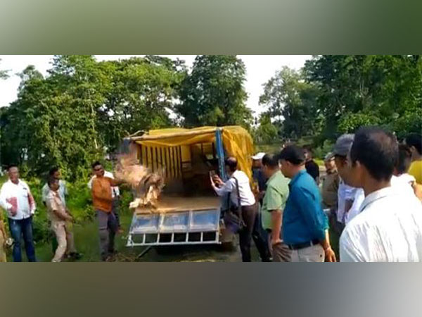 Officials of Assam Forest department release vultures back to wild after treatment in Assam (Photo/ twitter of Assam Forest department)