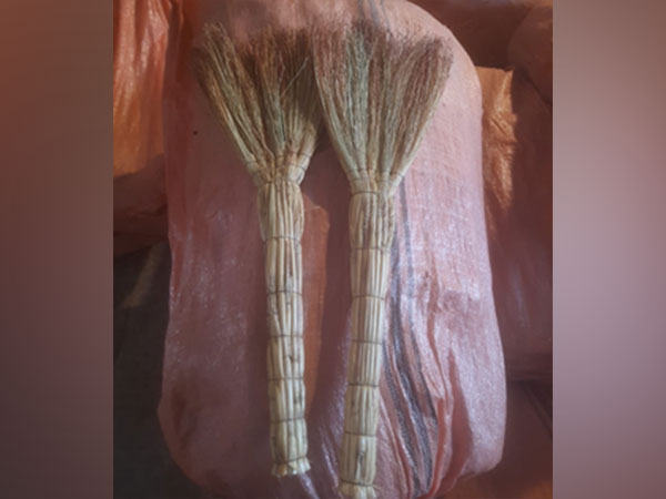 Afghan Brooms seized by DRI (Photo/ANI)
