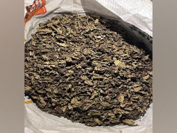 The narcotics seized by the DRI. (ANI/File Photo)