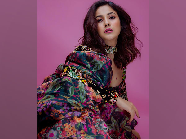 Shehnaaz Gill (Image source: Instagram)