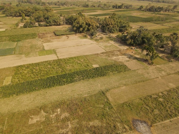Assam CM Sarma shares pics after successful eviction drive at Burachapori Wildlife Sanctuary. (Photo/ANI)