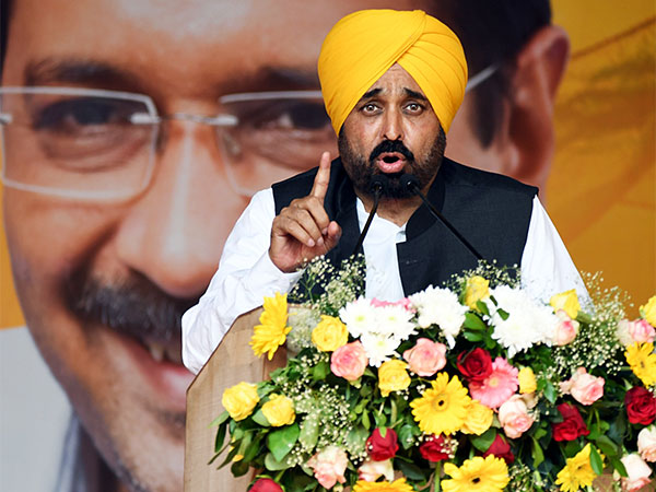 Punjab Chief Minister Bhagwant Mann (File Photo/ANI)