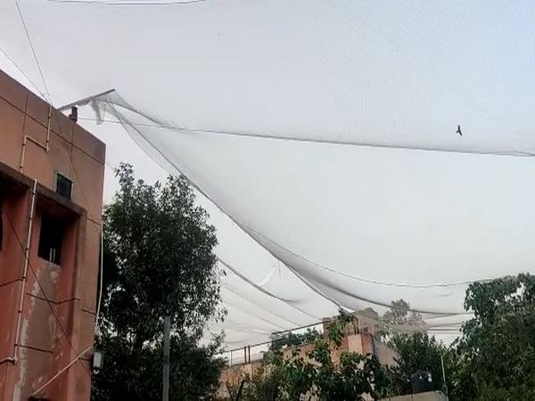 Visuals of net cover raised at Tihar Jail premises (Photo/ANI)