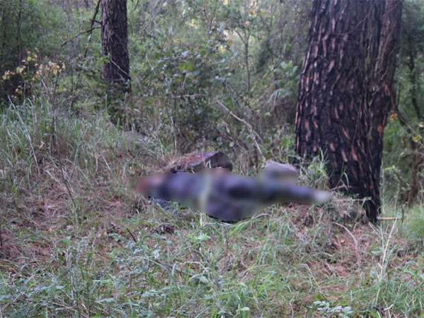 Visuals from the site (Photo/ANI)