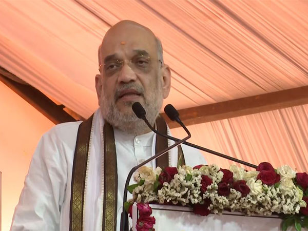 Union Home Minister Amit Shah (Photo/ANI)