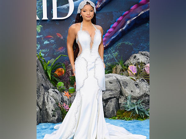 Halle Bailey (image source: Twitter)