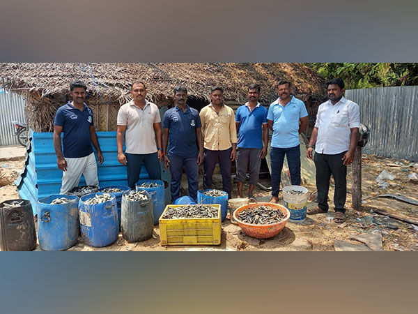 Banned sea cucumbers seized (Photo credit/ Coastal security Group police Inspector, Rameswaram)