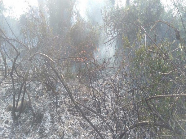 Visual of the spot (Photo/Twitter @prodefencejammu)