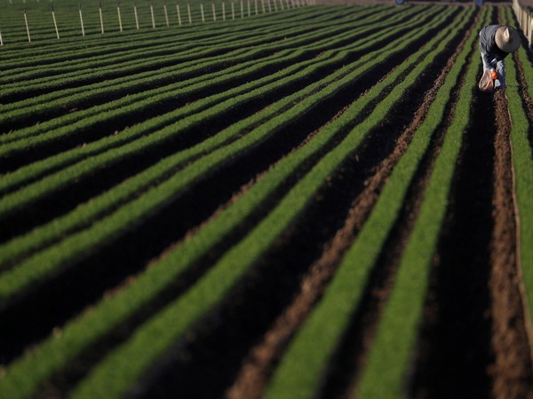 Representative Image. (File Photo/Reuters)