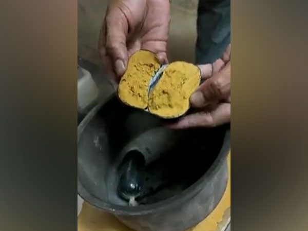 Visual of gold paste concealed (Photo/ANI)