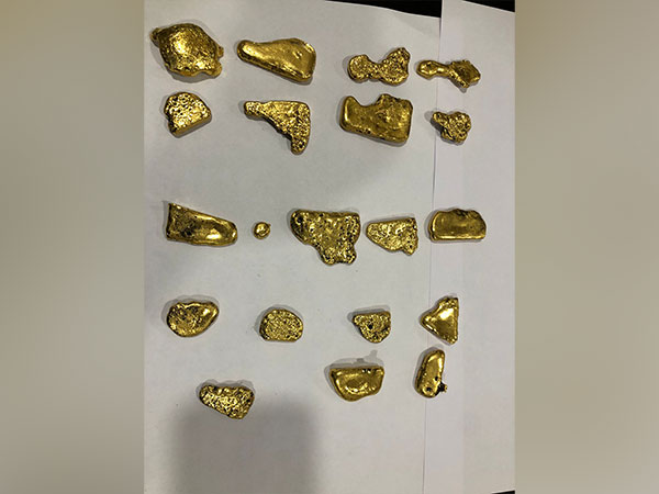 Gold recoved from a passenger at Jaipur Airport (Photo/Customs)