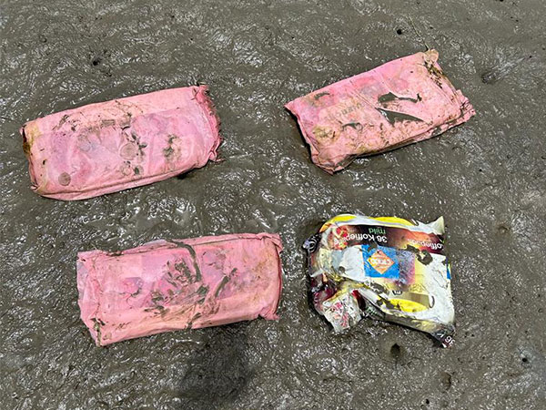 BSF recovers drug packets off Jakhau coast. (Photo/ANI)