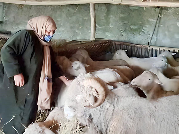 Sheep farmer Mumtaza 