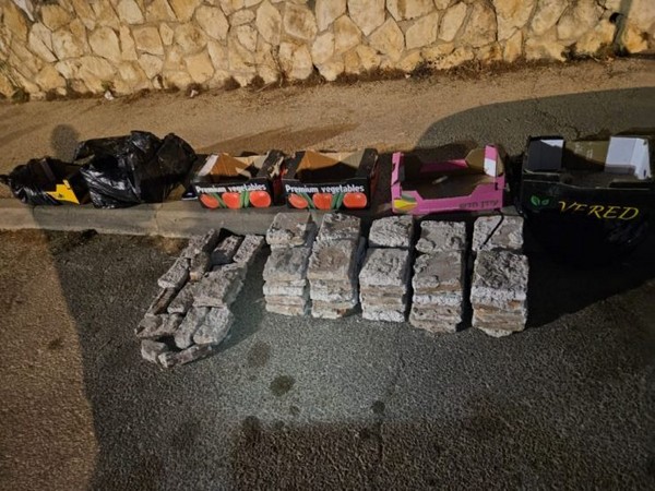 Bricks with imprints of Roman seals (Photo Credit: TPS)