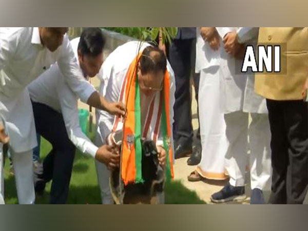 BJP national president JP Nadda plants saplings (Photo/ANI)