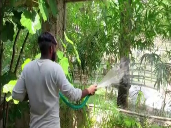 Sprinkling water at animal enclosures to keep temperature at check (Photo/ANI)