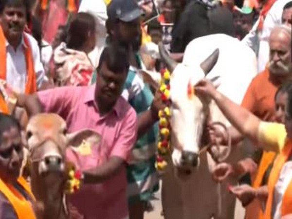 BJP protests with cows against Siddaramaiah government (Photo/ANI)