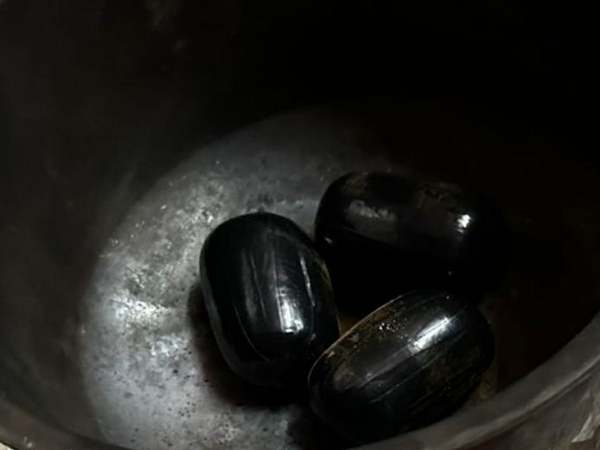 Seized gold capsules (Photo/ANI)