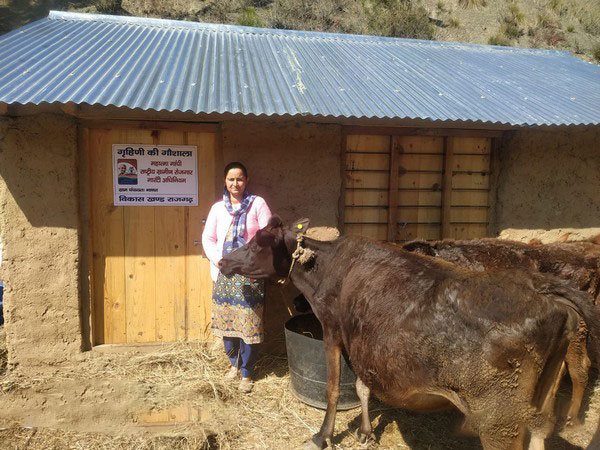 Grihni kee Gosshala initiative in Himachal Pradesh's Sirmaur (Image: ANI)