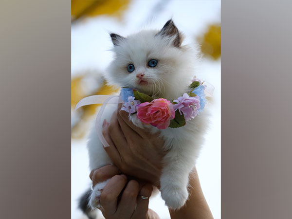 Representative Image