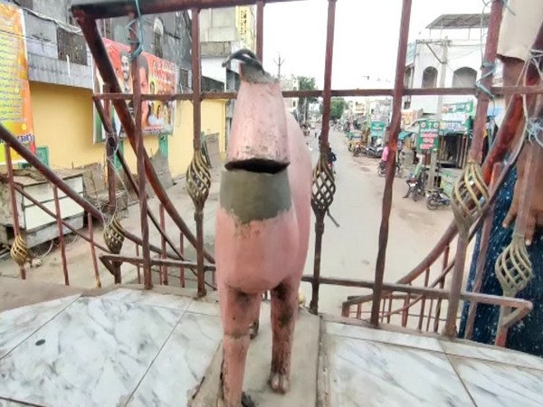 Visuals of the vandalised camel idol(Photo/ANI)