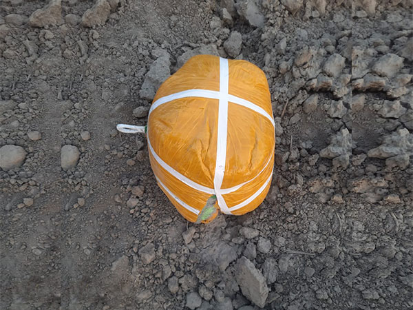 BSF recovers 5.5 kg narcotics near Rai village in Amritsar (Photo/ANI)