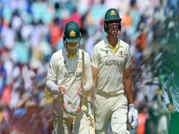 Alex Carey and Mitchell Starc (Photo/ICC)