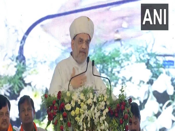 Union Home Minister Amit Shah (Photo/ANI)