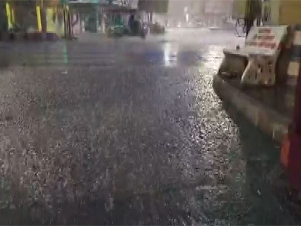 Visuals from Gujarat (Photo/ANI)