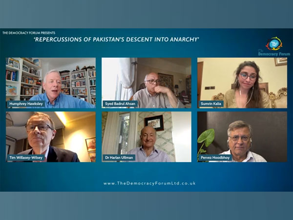 Experts participate in 'Repercussions of Pakistan's descent into anarchy'