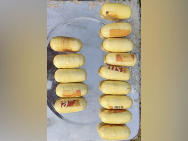 BSF troop recovers 14 packets of suspected narcotics (Photo/ANI)