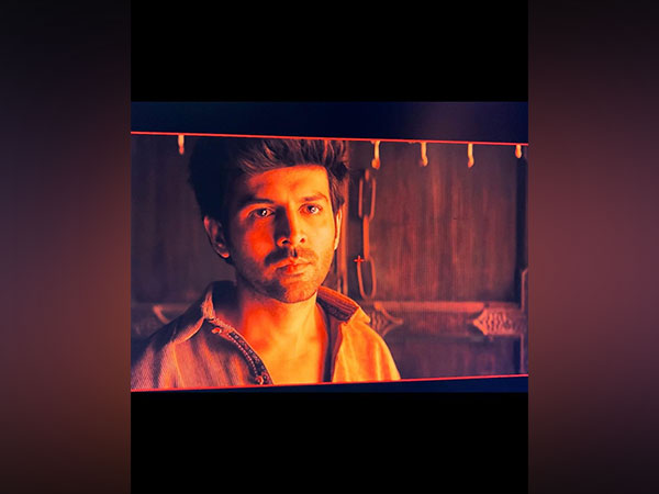 Kartik Aaryan (Image Source: Instagram)