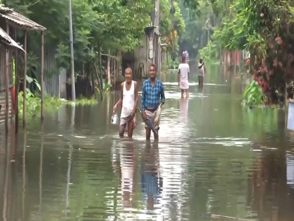 Villagers wade through the flood water at Bajali district of Assam. (ANI /Photo)