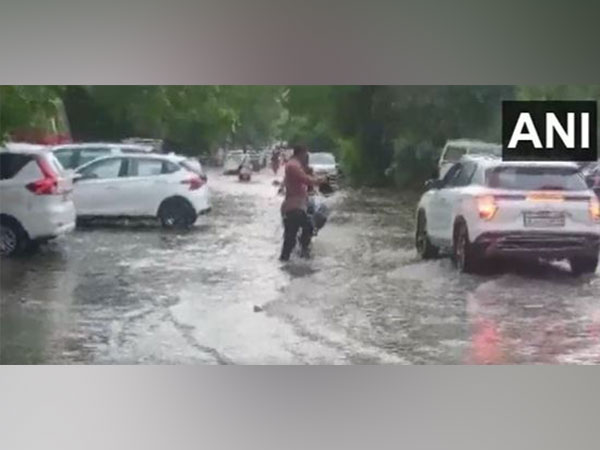 Rainwater gushes down a street in Rajasthan's Jodhpur (Photo/ANI)