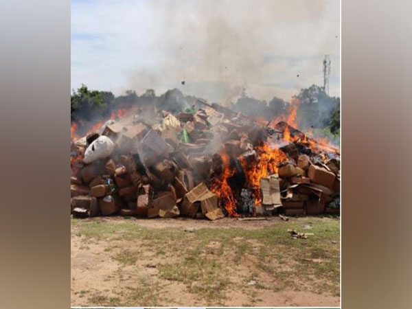 Drugs worth Rs. 225 crore burnt in Karimganj, Assam. (Photo/ANI)
