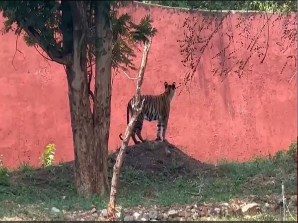 Indira Gandhi Zoological Park of Visakhapatnam (Photo/ANI)