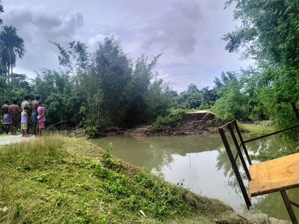 A visual from Assam flood (Photo/ANI)