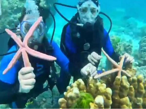 Chinese tourists touch a starfish under the sea in Phuket (Photo Credit: Facebook/Monsoon Garbage Thailand)