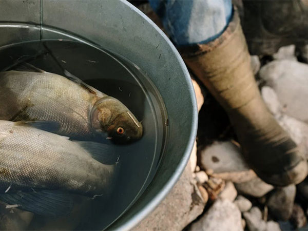 Representative Image