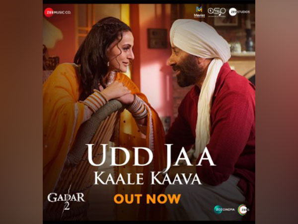 Udd Jaa Kaale Kaava poster (Image source: Instagram)