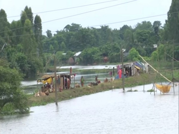 20,000 people in Barpeta district have still been affected by the deluge(Photo/ANI)